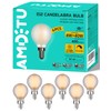 AMDTU 40W E12 Frosted Globe LED Bulbs, 2700K Warm White
