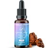 Cell Evolution Chaga Full Spectrum Liquid Mushroom Drops Supplement, Super