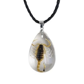 POYAMUSE Real Scorpion Pendant Necklace for Men and Women - Resin Bug Necklace, Scorpion Pendant Necklace - Amber Insect Necklace - Yellow