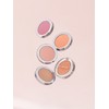 Klavuu Urban Pearlsation Natural Powder Blusher 5.5g / 어반 펄세이션 내추럴 파우더 블러셔 5.5g