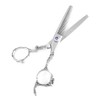 Professional Hair Cutting Thining Scissors Salon Barber Hairdressing Shear #01