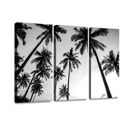 blaverr 3 Panel Wall Art Modern Artworks for Home Decor Canvas Prints Black and white photo of palm trees Pictures for Living Room Bedroom Decoration, Ready to Hang