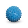 Physical Spiky Massage Balls - 1 Pair - Blue &