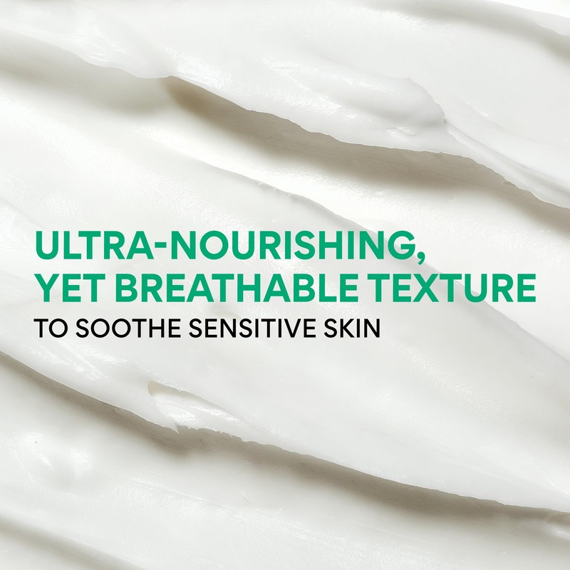 INNISFREE Green Tea Ceramide Cream, Korean Moisturising Face Cream with