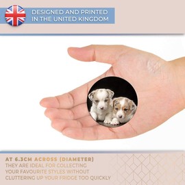 Destination Vinyl ltd Magnet for Refrigerator, Fridge - Welsh Corgi Puppy Dog Cute for Office, Cabinet and Whiteboard, Magnetic Stickers, 2700