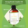LOTUSJOY Camphor Oil, Pure Natural Camphor Essential Oil for Diffuser,