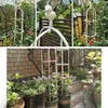 Garden Trellis for Climbing Plants, Rustproof Metal Pipe with Heavy