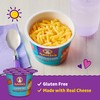 Annie's Real Aged Cheddar Microwave Mac & Cheese with Gluten