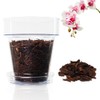 Kalapanta Orchid Transplanting Set: Transparent Flower Pot with Drainage Holes,