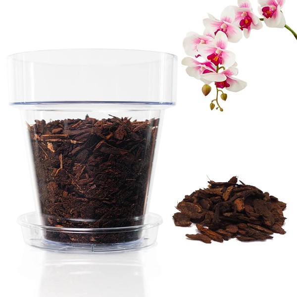 Kalapanta Orchid Transplanting Set: Transparent Flower Pot with Drainage Holes,