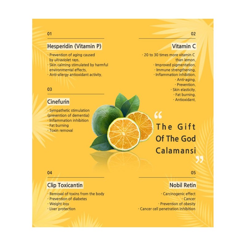 [EYENLIP] CALAMANSI VITA CLEANSING FOAM 120ml