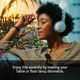 Leviton TBL03-10W Tabletop Slide Control Lamp Dimmer, 300-Watt, White, 1 unidad