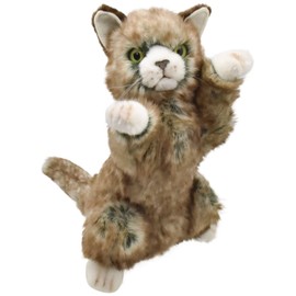 Cat No.5022 by HANSA