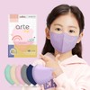 Arte Bird-shaped disposable color mask, small purple, 50 sheets /
