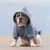 Spark Paws Dog Hoodie - Premium Quality, Butter Soft, Superior