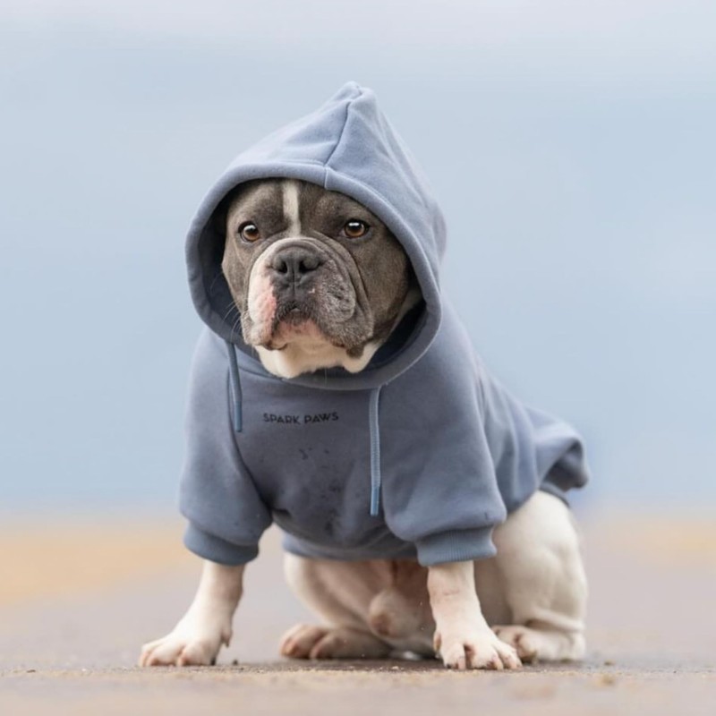 Spark Paws Dog Hoodie - Premium Quality, Butter Soft, Superior
