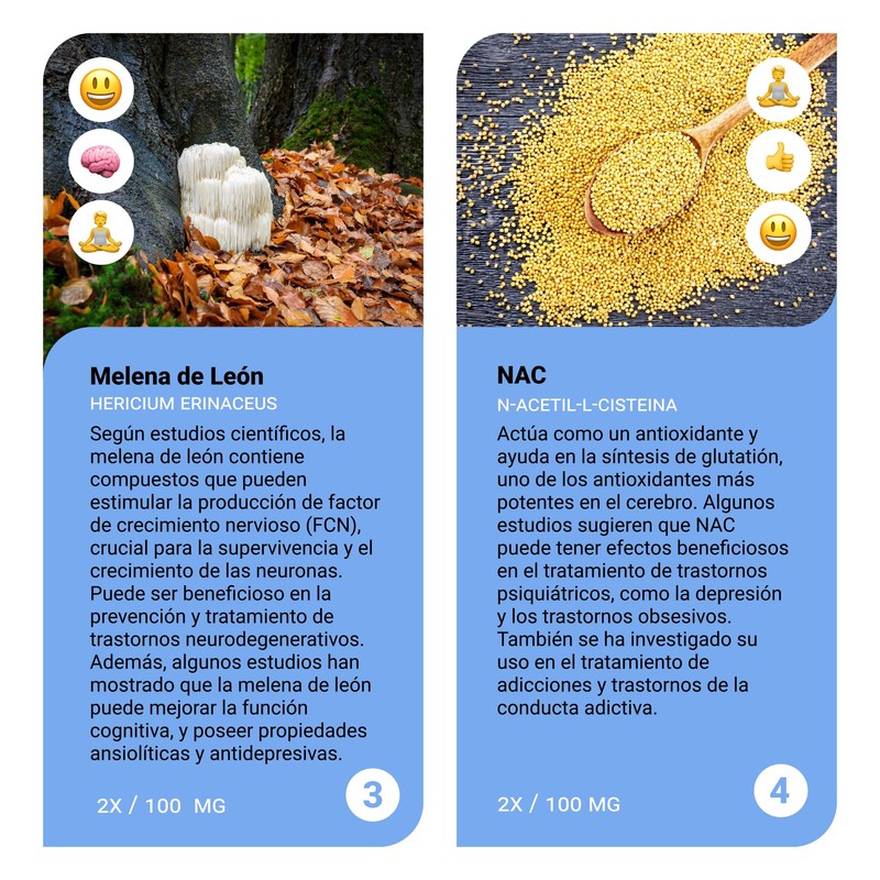 Sapientia Studia Nootrópico 100% natural - Complejo B, Leticina de