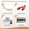 PB040001 Gas Range Oven Igniter Compatible with Viking Oven Igniter,