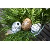 Heitmann Eierfarben Egg Love You Decorative Banderoles, 12 g