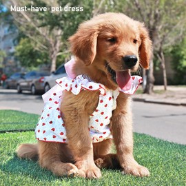 ANIAC Strawberry Dog Dress for Small Medium Dog Cotton Puppy Clothes Girl Dog Princess Dress Sleeveless Cat Outfit Bow Summer Pet Clothing (Strawberry, X-Large)