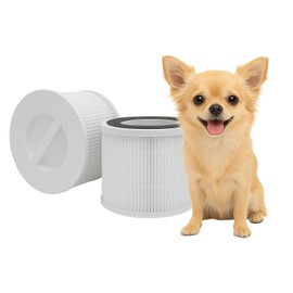 Replacement Filter for Chuboor PJ06 PJ07 PJ01A Air Purifier, 3-in-1 Pre, H13 True HEPA, Activated Carbon Filtration System White