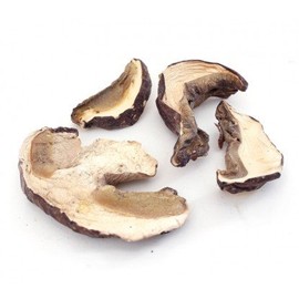 American Dried Porcini Mushrooms 16 oz. (1 lb.)
