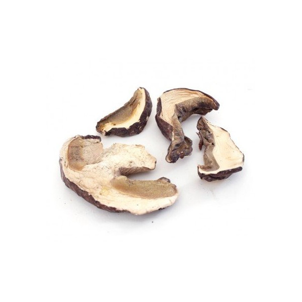 American Dried Porcini Mushrooms 16 oz. (1 lb.)