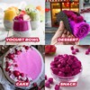 6oz Freeze Dried Dragon Fruit Pieces,170g Dragon Fruit Chunks for