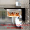 SLSON 100 Pack Gecko Food and Water Cups Gecko Ledge