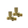 Greened House Alton Brushed Brass/Gold Straight Towel Rail Valves 1/2"