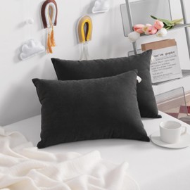 Mini Down Alternative Travel Pillow, Microfiber, Soft Machine Washable, for Neck, Wrist, Lumbar and Knee Support (Black, 13"x18")