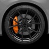 Netagon Car Brake Caliper Quick Drying High Performance Temperature Rating