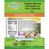 Golden Berries (Gooseberry, Inca, Ushuva) (4 oz, ZIN: 524633)