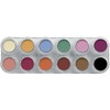 Rouge-/Lidschattenpalette U mit 12 Farben