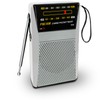 Small Portable Radio Mini AM/FM/Ondine Short Radio (Silver)
