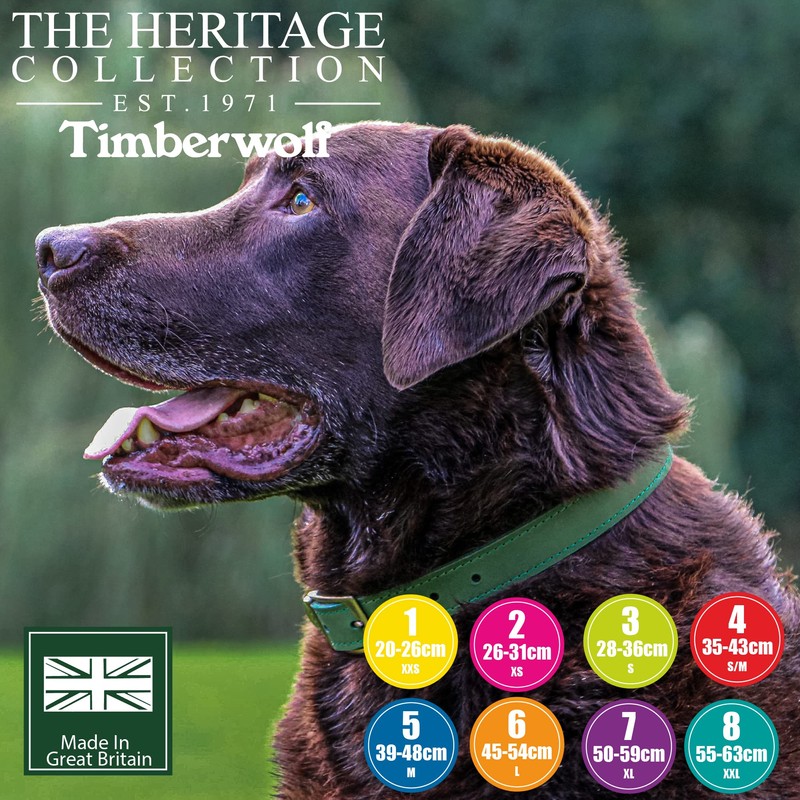 Ancol Timberwolf Comfortable Durable Leather Green Dog Collar Pet Training
