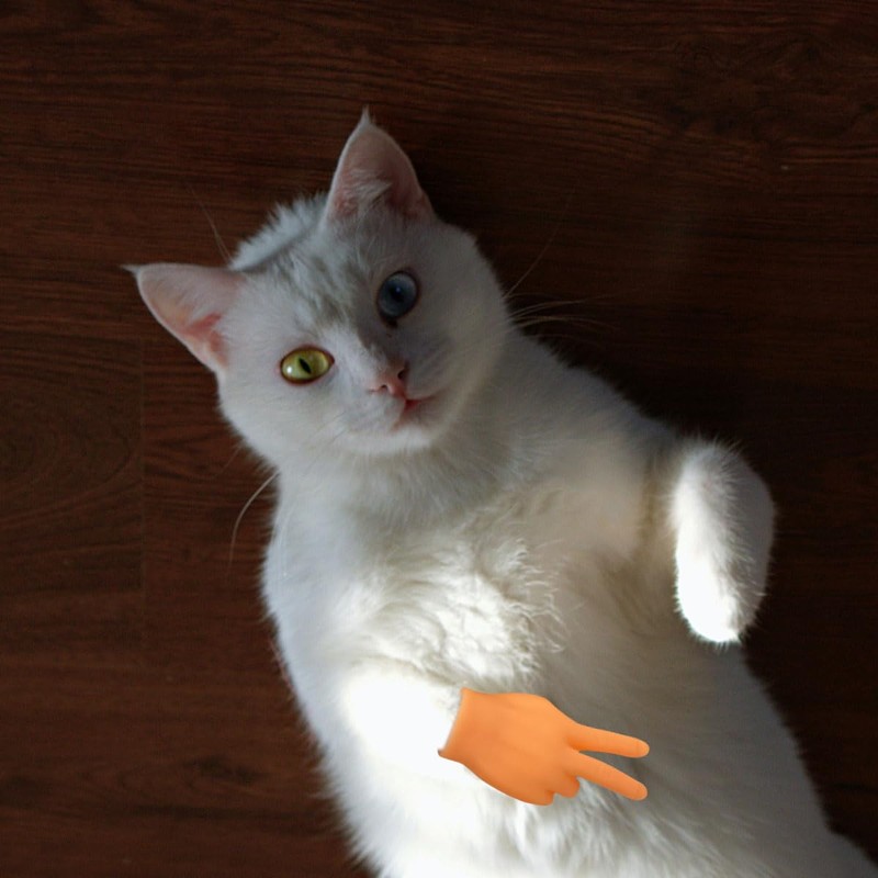 6 Pcs Cute Mini Hands for Cats,Tiny Human Hands for