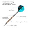 Genossen Darts with Plastic Tip 18 g, Pack of 3