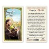 Hail Mary Gifts Prayer Cards ST Francis of Assisi -