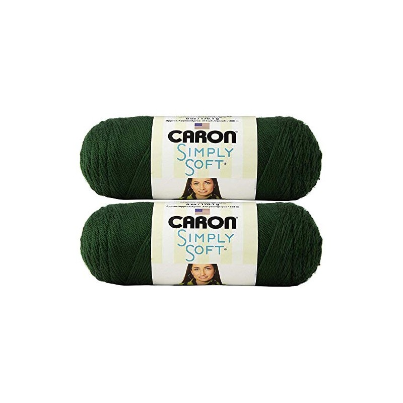 CARON SIMPLY SOFT- PACK OF 2 BALLS - 170G EACH