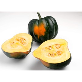 Winter Squash, Table Queen Acorn Squash Seeds