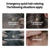 Waterproof Hair Dye Stick Sweat Proof Hair Dye Stick/Natural White