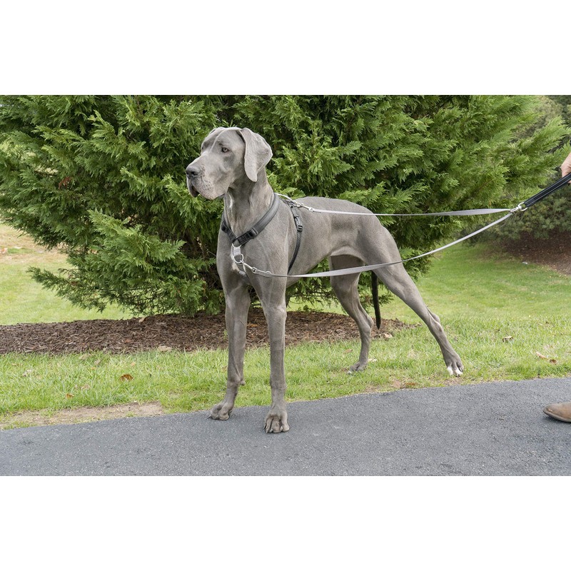 PetSafe Anti-Pull Dog Lead, For Use with PetSafe 3 in