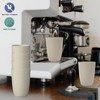 Wrova Wheat Straw Cups 6 PCS Good Alternative to Plastic