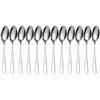 Dining Spoons Set of 12 Stainless Steel Cutlery Set for