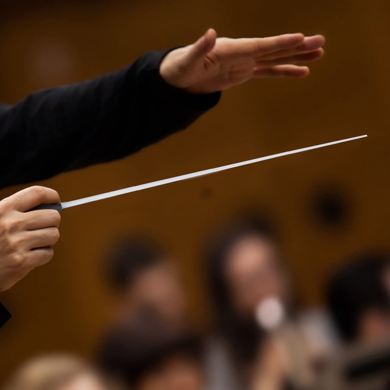 Conducting Baton, Premium Fiberglass and Resin Materials Comfortable Pear Shaped