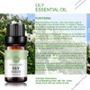 Lily Essential Oil 100% Pure Oganic Plant Natrual Lily Oil