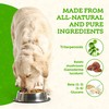 Animal Essentials Longevity Reishi Mushroom Supplement for Dogs & Cats