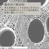 Binchotan Binchotan Charcoal for Purifying Water, Sinking in Water, Binchotan