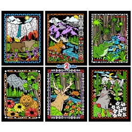 National Parks Fuzzy Coloring Poster 6 Pack (Great for Kids, Adults, Group Activities and More) - Arrives Uncolored - Yosemite, Denali, Everglades and More (Arts and Crafts Fun for All Ages)